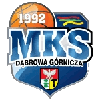 Dabrowa Gornicza Logo