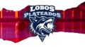 Lobos de Puebla