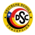 CD Aleman de Concepcion U21 Logo