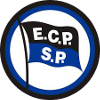 Pinheiros U19 Logo