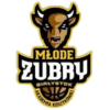 Zubry Bialystok 2 Logo
