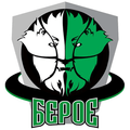 Beroe Logo