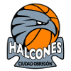 Obregon Logo