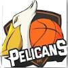 PFC Pelicans  Logo