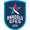 Anadolu Efes Istanbul Logo