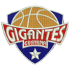 Gigantes de Guayana Logo