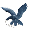 ADMU Eagles Women Logo