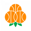 Umea BSKT Logo