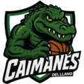 Caimanes del Llano Logo