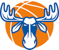 Jämtland Basket Logo