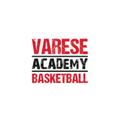 Varese Academy U19 Logo