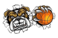 Bulldogs U21