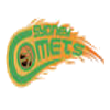 Sydney Comets Women Logo
