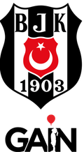 Besiktas JK Women Logo