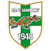 S.S. Felice Scandone Logo