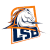 Liga Sorocabana 1D Logo