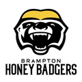 Honey Badgers Logo