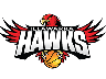 Basketball Illawarra Women''s Logo