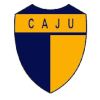 Alpacic Youth Logo