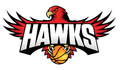 Illawarra Hawks Waratah (w) Logo