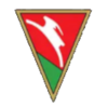 卢布林Lublinianka Logo