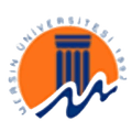 Mersin University Logo