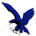 ADMU Blue Eagles U19 Logo