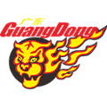 Guangdong Southern Tigers Logo