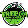 Trepca Logo