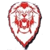 Hogsbo Basket Logo