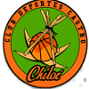 Castro SAESA Logo