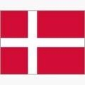 Denmark Women Logo