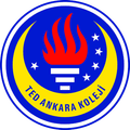TED Ankara Kolejliler Women Logo