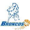 Hume City Broncos Women Logo