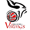 Vikings Logo
