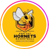 Eng Tat Hornets Logo