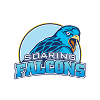 ADU Falcons Women Logo