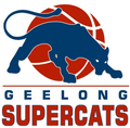 Geelong United Logo