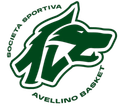 avellino basket Logo