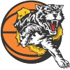 Willetton Tigers Women Logo