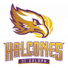 Halcones de Xalapa Logo