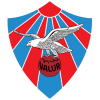 Valur Reykjavik Logo