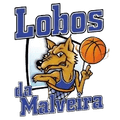 Lobos da Malveira Women
