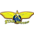 Starwings Basket Regio Basel