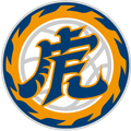 National Formasa University