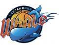 Sichuan Whale U21 Logo