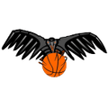 Vrani Vransko Logo