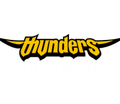 Seoul Samsung Thunders Logo
