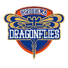 Hiroshima Logo
