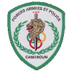 FAP Women Logo